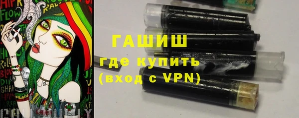 шишки Ельня