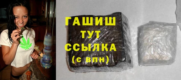 СК Елизово