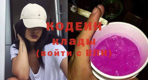 СК Елизово