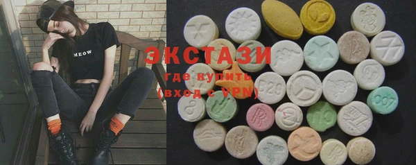 шишки Ельня