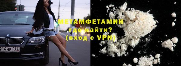 шишки Ельня