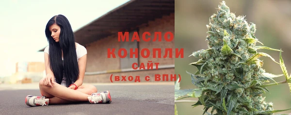 шишки Ельня