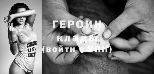 шишки Ельня