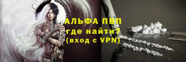 шишки Ельня