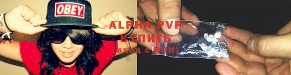 СК Елизово