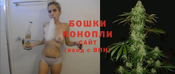 шишки Ельня