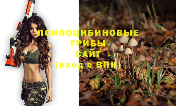 СК Елизово
