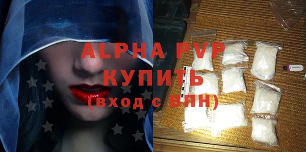шишки Ельня
