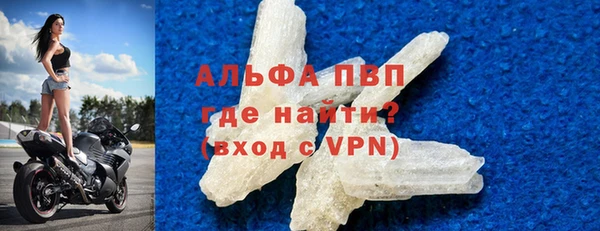 СК Елизово