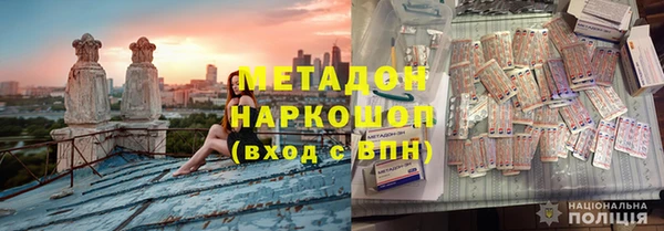 шишки Ельня