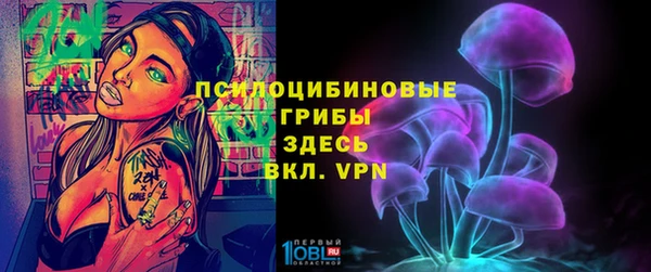 шишки Ельня