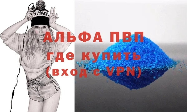 СК Елизово