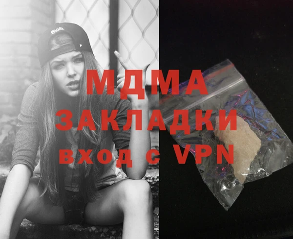 шишки Ельня
