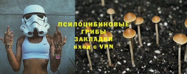 шишки Ельня