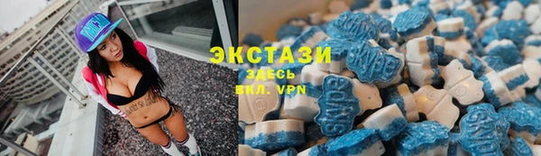 шишки Ельня