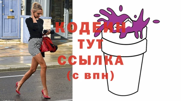 СК Елизово