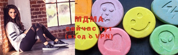 шишки Ельня