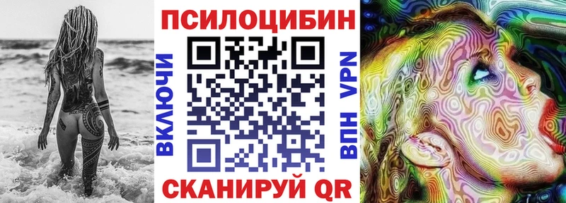 купить наркотики цена  Западная Двина  Псилоцибиновые грибы Psilocybine cubensis 